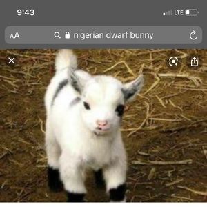 Meet your Posher, Kailee